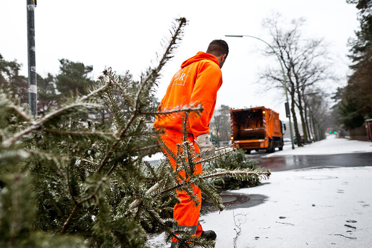 BSR-Mitarbeiter holt Weihnachtsbaum ab