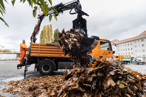 BSR-Ladekranfahrzeug beim Abtransport eines Laubhaufens