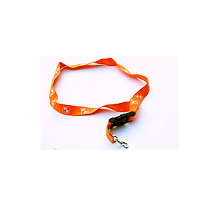 Schlüsselband orange mit BSR Logo