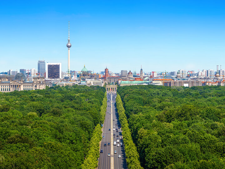 Blick auf Berliner Tiergarten + Brandenburger Tor