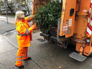 BSR-Müllwerkerin gibt alten Weihnachtsbaum in die Schüttung eines Müllfahrzeugs.