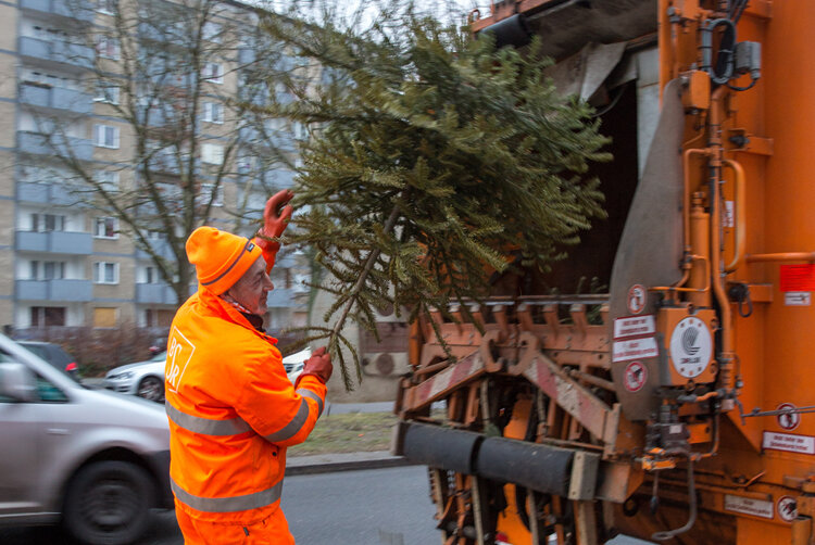 Mann wirft Weihnachtsbaum in Müllwagen