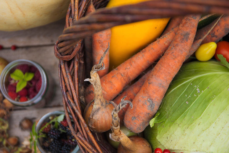 Gemüse frisch von der Ernte