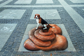 Kreideaktion Hundehaufen