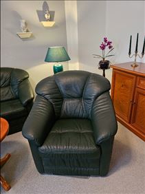 Abbildung: Sofa 3 Sitzer und 1 Sessel grün Echtleder