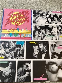Abbildung: Spider Murphy Gang vinyl