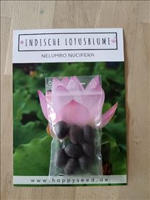 Abbildung: Verschenke Lotusblumen-Samen