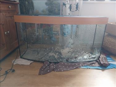 Abbildung: Aquarium Juwel Vision 260 l