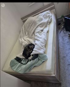 Abbildung: Bett