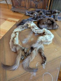 Abbildung: Pelzteile