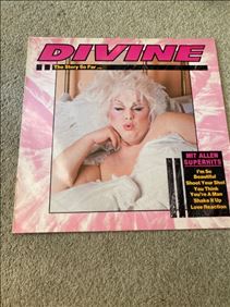 Abbildung: Divine Vinyl 