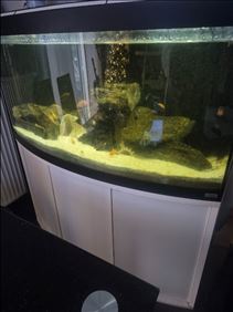 Abbildung: Aquarium zu verschenken 