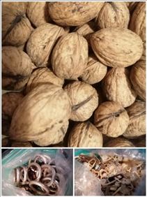 Abbildung: Wallnüsse eigene Ernte ca 400 gr, Gadinenringe u. Schnipper 