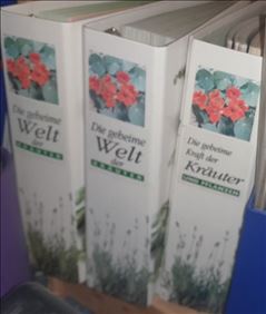 Abbildung: Kochen + Hobby