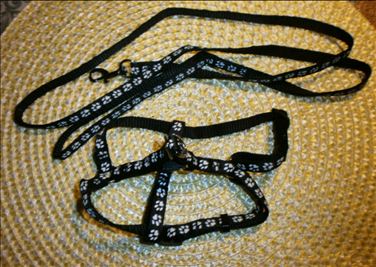 Abbildung: Katzengeschirr plus Leine 