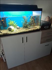 Abbildung: Aqaurium und Schrank