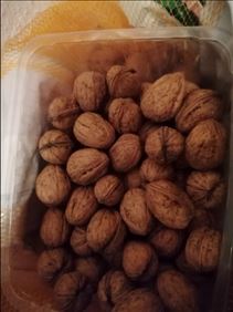 Abbildung: Walnüsse eigene Ernte, Zucketstreuer,, salzstreuer 