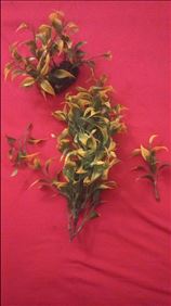 Abbildung: Kunststoff-Aquarienpflanzen