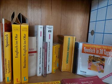 Abbildung: FREMDSPRACHEN WÖRTERBÜCHER + (AUDIO-)LERNMEDIEN