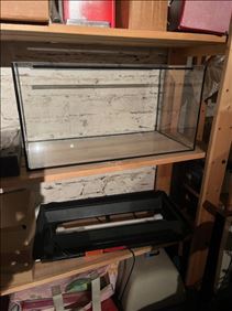 Abbildung: Aquarium Kellerfund