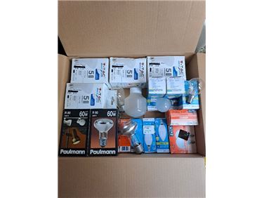 Abbildung: 23 Glühbirnen (E14 und E27)