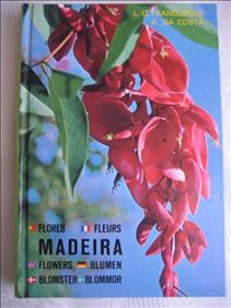 Abbildung: größeres Buch Madeira, Originalsprache