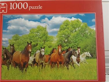 Abbildung: Puzzle Pferde/ Herde auf der Weide (1.000 Teile)