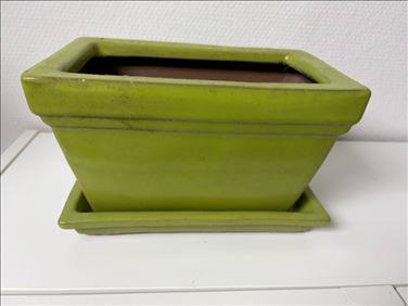 Abbildung: Pflanzschale rechteckig