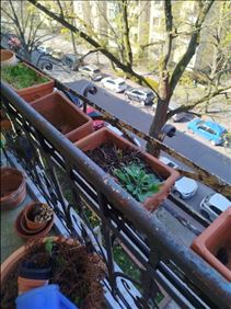 Abbildung: Blumenkübel /-kästen usw. zu verschenken 