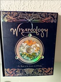 Abbildung: Wizardology: The Book of the Secrets of Merlin von Dugald S.