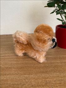 Abbildung: Kleiner Steiff Hund 