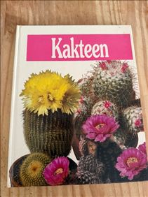 Abbildung: Kakteen-Buch