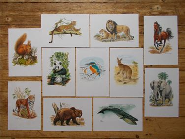 Abbildung: 11 Tier-Kunstdrucke Format 26 x 17,5 cm