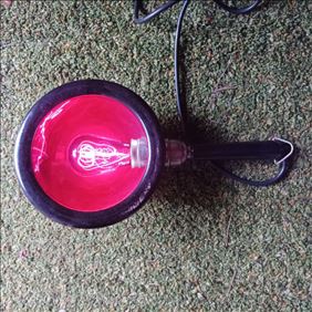 Abbildung: Rotlichtlampe