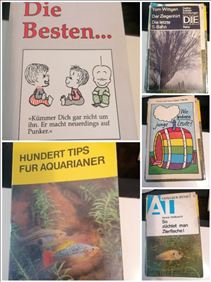 Abbildung: 5 alte Bücher guter Zustand 
